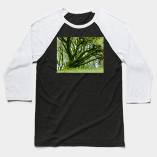 Green Moss Tree Baseball T-Shirt